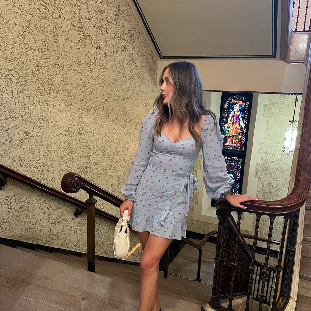 Reformation Cammi Long Sleeve Mini Dress